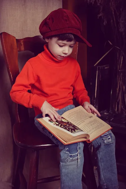Book Cover: The Boy Who Listened