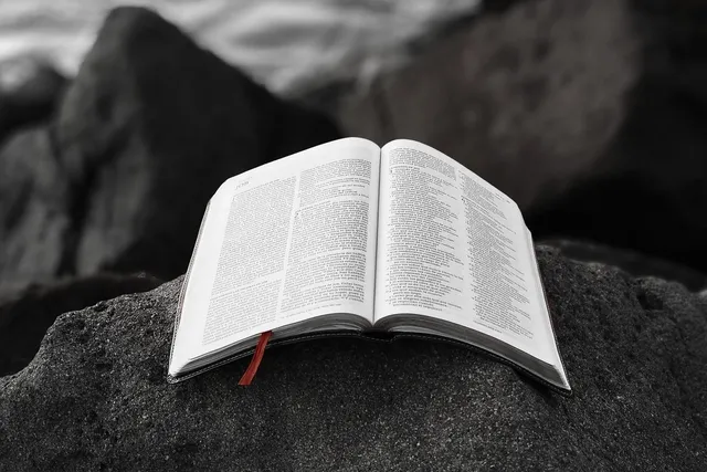 Book Cover: Revelation