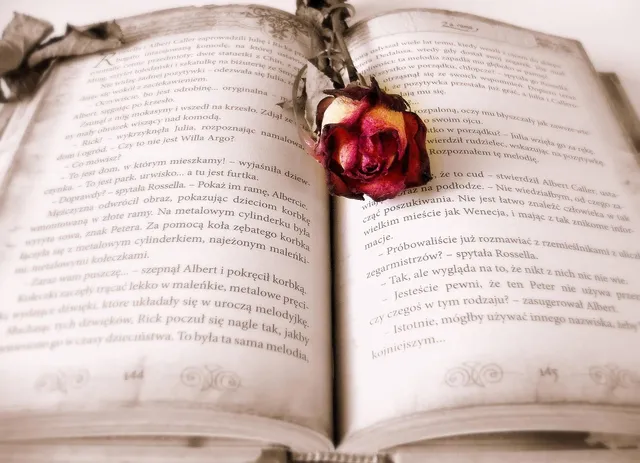 Book Cover: Into the Void