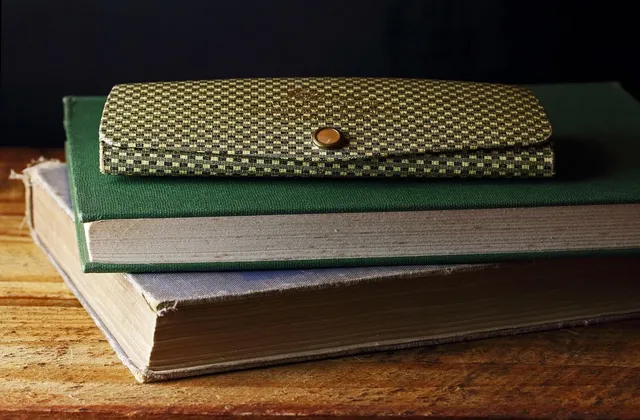 Book Cover: The Curious Case of B-712
