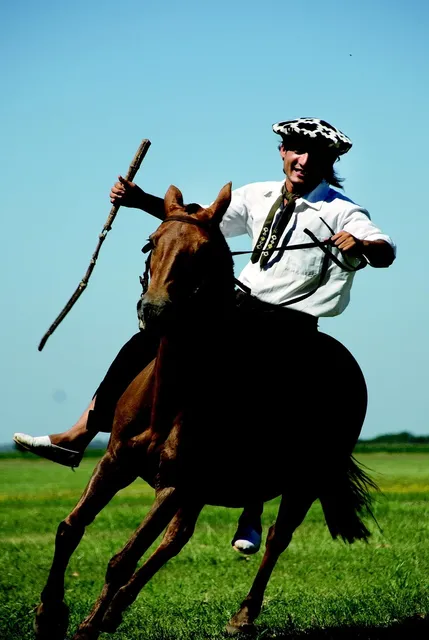 Book Cover: Horseman