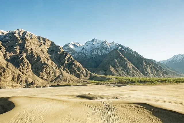 Book Cover: Desert