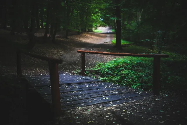 Book Cover: Where the Woods Grow Wild
