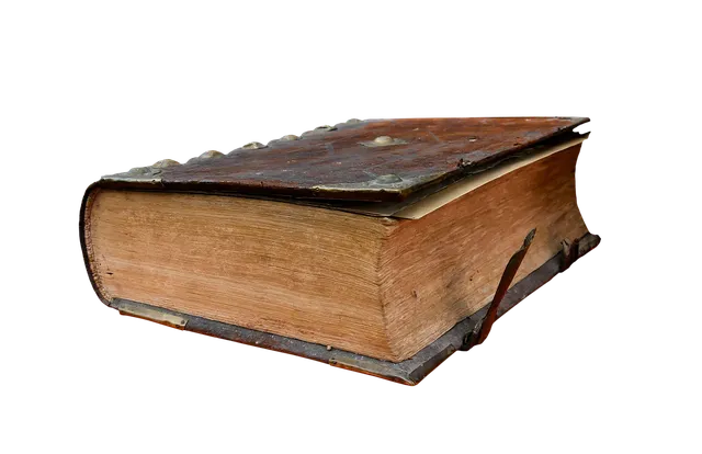Book Cover: The Underground