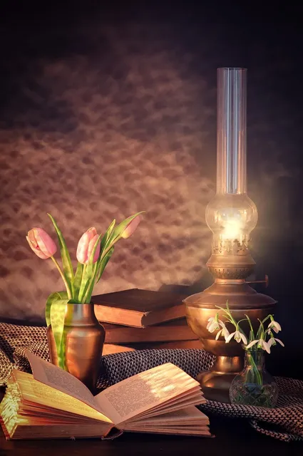 Book Cover: The Lamp of Silver