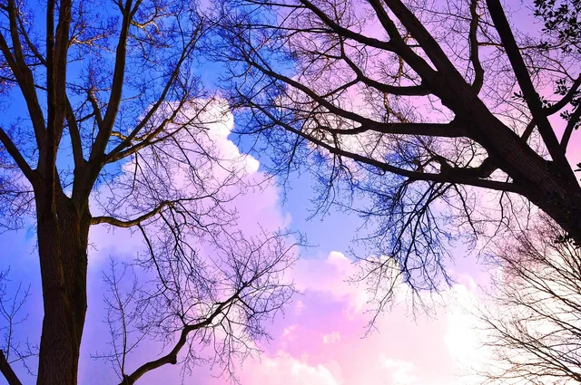 Book Cover: Skies of Scarlet