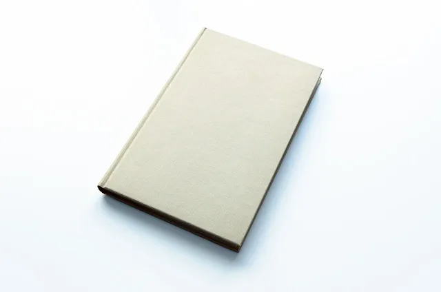 Book Cover: The Fall of Beaumont and Beasley