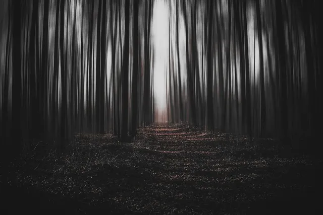 Book Cover: Colors of Fear