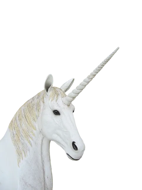 Book Cover: The Unicorn Tamer
