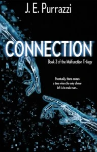 Book Cover: Connection